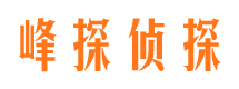 新平侦探社